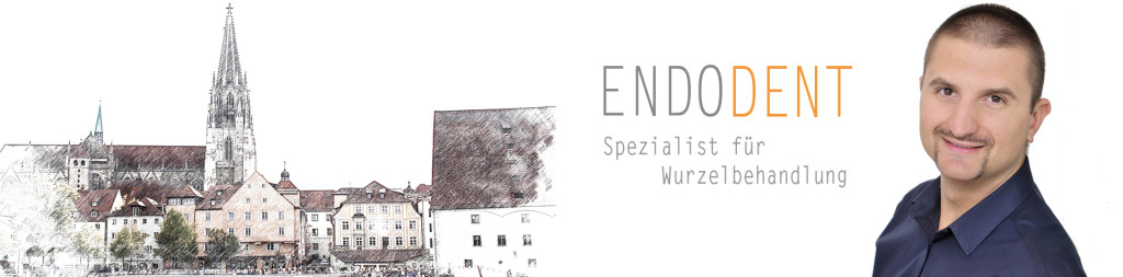 EndoDent-Regensburg-Petkov