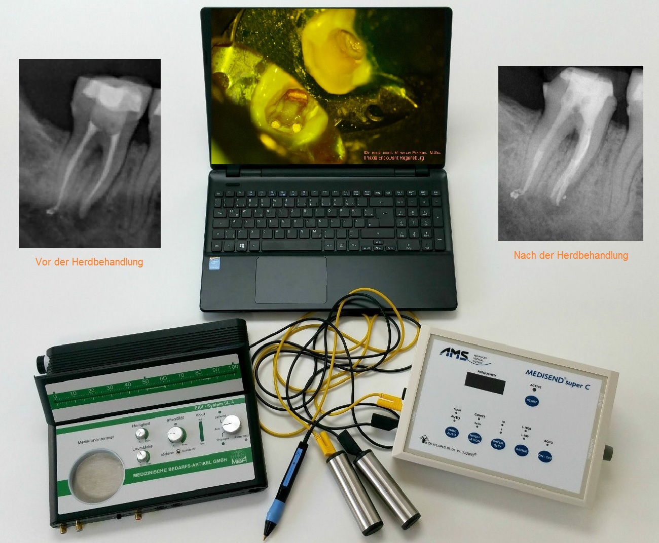 herddiagnostik praxis für endodontie regensburg